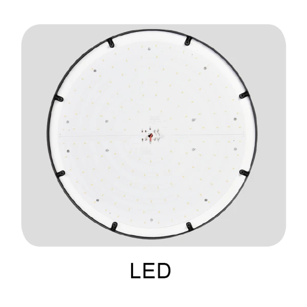 DLG-S-006-3 DLG-S-006-3